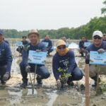 Sinergi Telkom dan BMM Tanam 5.000 Bibit Mangrove untuk Pemulihan Ekosistem Pesisi. (Foto: istimewa).