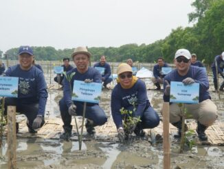 Sinergi Telkom dan BMM Tanam 5.000 Bibit Mangrove untuk Pemulihan Ekosistem Pesisi. (Foto: istimewa).