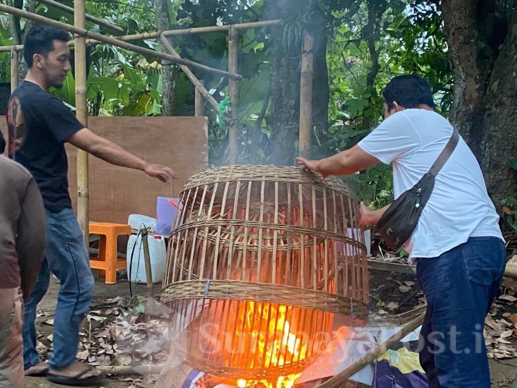 Polresta Malang Kota membongkar total dan membakar arena judi sabung ayam di wilayah Baran Wonokoyo, Kecamatan Kedungkandang, Minggu (30/11/2025).