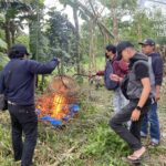 Polresta Malang Kota membongkar total dan membakar arena judi sabung ayam di wilayah Baran Wonokoyo, Kecamatan Kedungkandang, Minggu (30/11/2025).