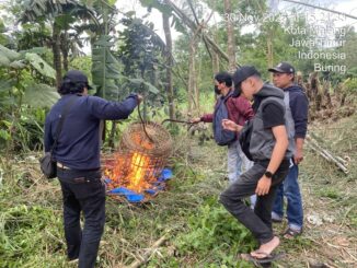 Polresta Malang Kota membongkar total dan membakar arena judi sabung ayam di wilayah Baran Wonokoyo, Kecamatan Kedungkandang, Minggu (30/11/2025).