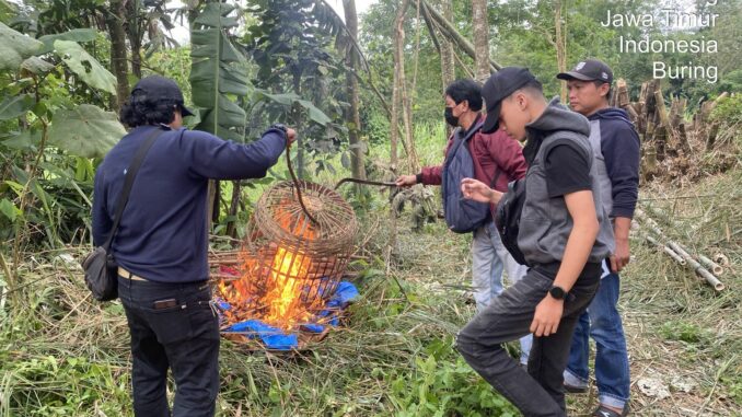 Polresta Malang Kota membongkar total dan membakar arena judi sabung ayam di wilayah Baran Wonokoyo, Kecamatan Kedungkandang, Minggu (30/11/2025).