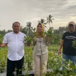 Panen Edamame di Lapas Malang: Warga Binaan Tunjukkan Keterampilan Pertanian yang Mengimpresi. (Humas L'SIMA).