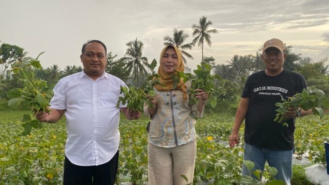 Panen Edamame di Lapas Malang: Warga Binaan Tunjukkan Keterampilan Pertanian yang Mengimpresi. (Humas L'SIMA).