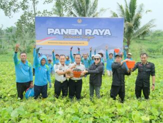 Panen Raya Serentak: Lapas Kelas 1 Malang Sumbang Kacang Hijau dan Kacang Tanah untuk Bantuan Bencana Alam di Sumatera. (Sumber L'SIMA).