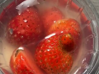 Belatung di Puding Stroberi MBG, Wali Murid Desak SPPG Tulusrejo 2 Ditutup