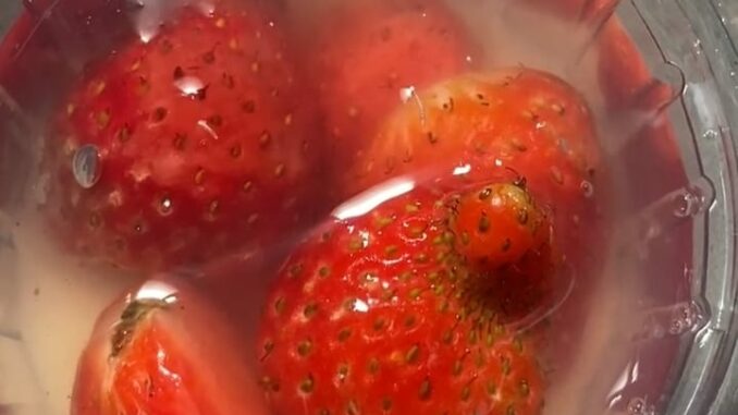 Belatung di Puding Stroberi MBG, Wali Murid Desak SPPG Tulusrejo 2 Ditutup