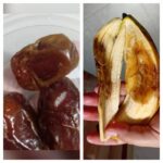 Temuan menu MBG di salah satu SD Kota Malang yang tak layak. (ist).