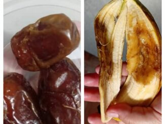 Temuan menu MBG di salah satu SD Kota Malang yang tak layak. (ist).