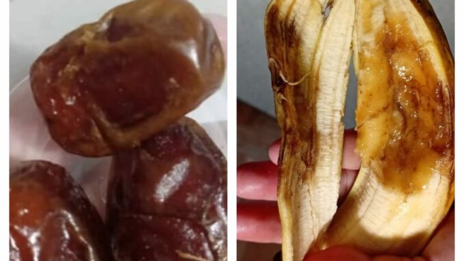 Temuan menu MBG di salah satu SD Kota Malang yang tak layak. (ist).