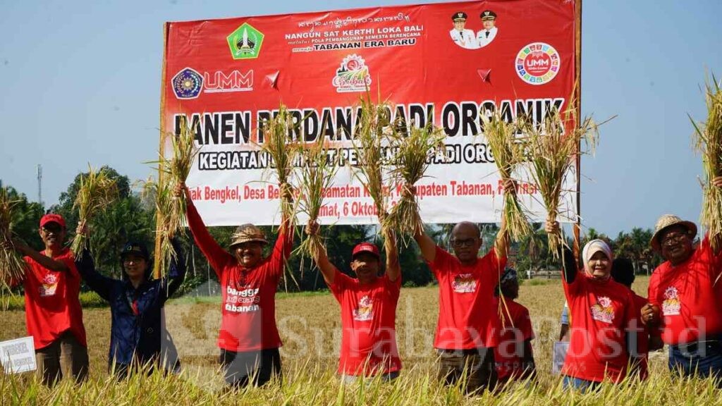 Kegiatan Pengembangan dan Pemeliharaan Subak Bali oleh UMM