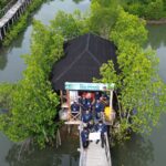 PT Telkom Indonesia dan BMM Tanam 10.000 Bibit Mangrove di Pantai Cemare, NTB. (istimewa).