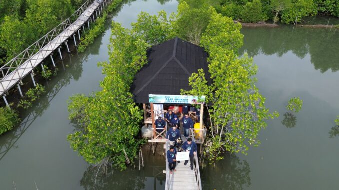 PT Telkom Indonesia dan BMM Tanam 10.000 Bibit Mangrove di Pantai Cemare, NTB. (istimewa).