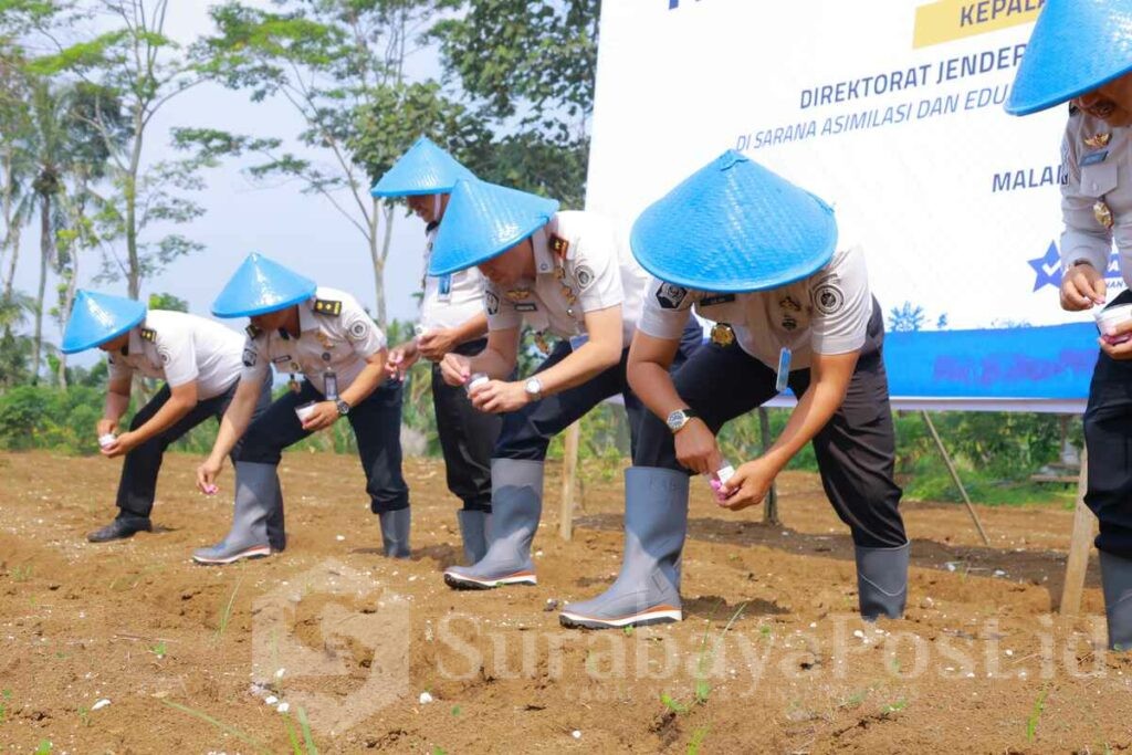 Dukung Ketahanan Pangan, Lapas Malang Tanam 200 Kg Kacang Lurik Madu di Lahan 5.000 M². (Sumber L'SIMA).