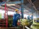 Long Weekend Kenaikan Isa Almasih, Pertamina Patra Niaga Tambah 955 Ribu Tabung LPG 3 Kg di Jatim. (ist).