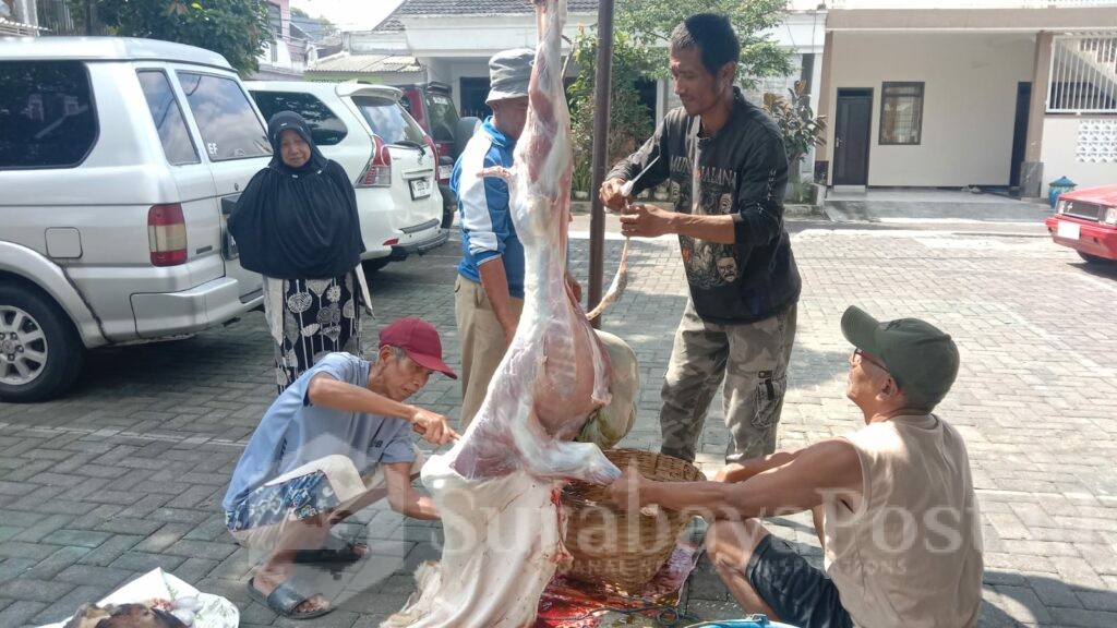 Penyembelihan hewan kurban dari AKP Totok Haryanto yang diperuntukkan insan pers.