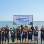 Telkom Tanam 10.000 Bibit Lamun di Situbondo, Dorong Ekosistem Pesisir untuk Masa Depan Berkelanjutan. (ist).