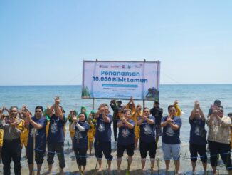 Telkom Tanam 10.000 Bibit Lamun di Situbondo, Dorong Ekosistem Pesisir untuk Masa Depan Berkelanjutan. (ist).
