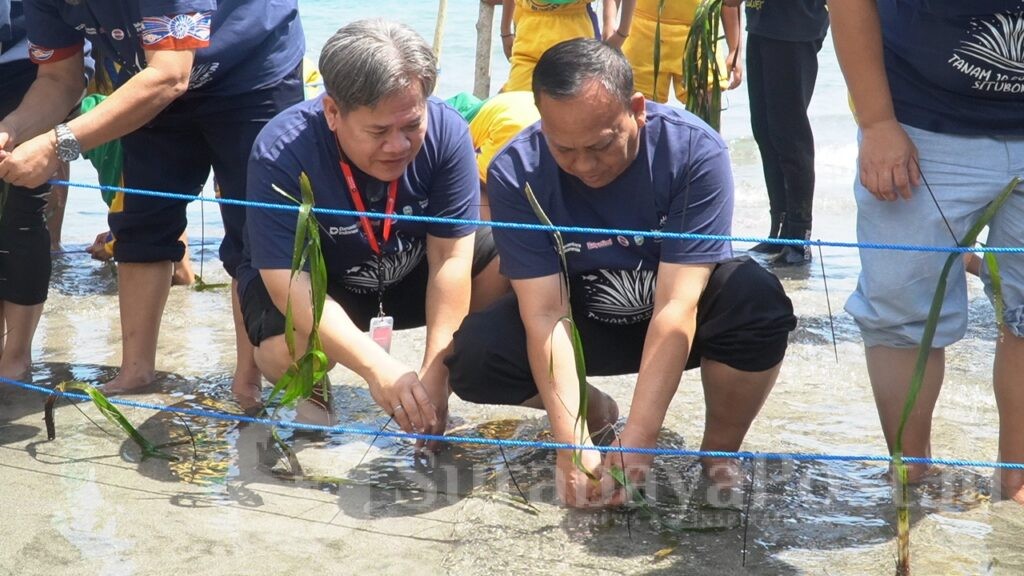 Telkom Tanam 10.000 Bibit Lamun di Situbondo, Dorong Ekosistem Pesisir untuk Masa Depan Berkelanjutan. (ist).