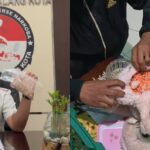 2 Kali Penggeledahan, Satreskoba Polresta Malang Kota Amankan 1.461 Butir Ekstasi. (ist).