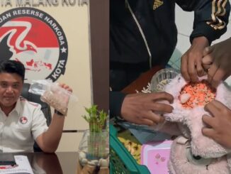 2 Kali Penggeledahan, Satreskoba Polresta Malang Kota Amankan 1.461 Butir Ekstasi. (ist).