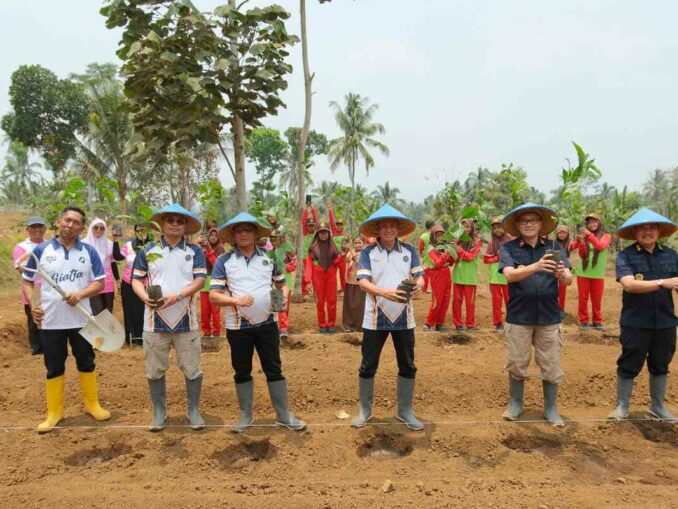 SAE L’SIMA Ngajum Tanam 1.000 Bibit Kopi dan Kedelai, Libatkan Murid SD Belajar Ketahanan Pangan. (Sumber L'SIMA).
